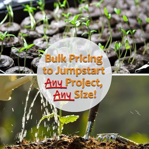 Mountain Valley Seed Co Southwest Wildflower Mix Seeds 7 Gram ~30 Seeds - Image 3