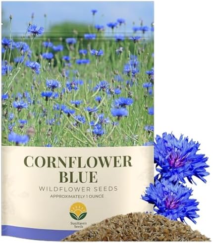 Bachelor Button Seeds – Blue Cornflower – 5,500+ Seeds – 1 oz Bulk Extra Large Resealable Packet – Open-Pollinated Centaurea cyanus Wildflower Seeds by SunHavenSeeds