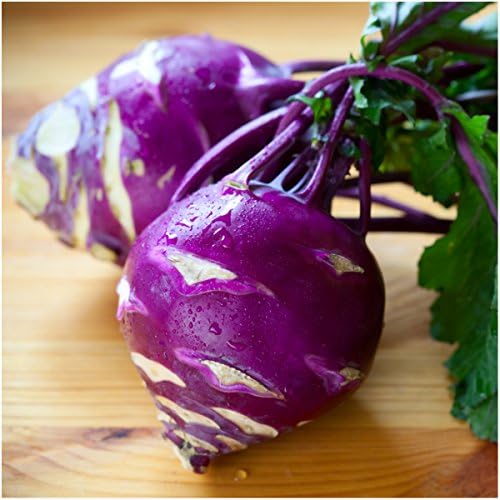 Seed Needs Kohlrabi Seeds Variety Pack of 2 Non-GMO & Heirloom Vegetables - Image 5