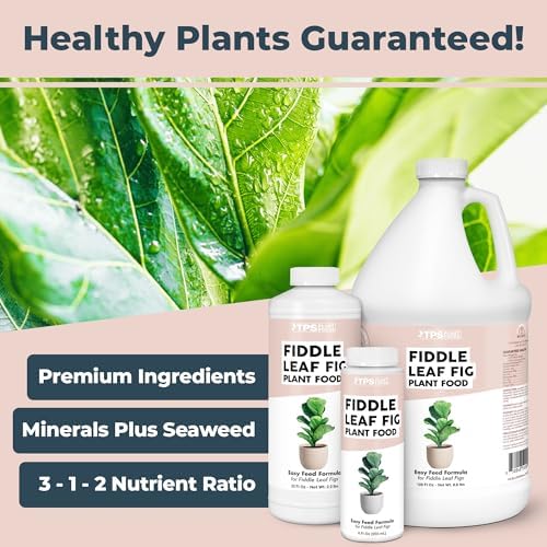 Fiddle Leaf Fig Fertilizer, Liquid Plant Food for Bigger Leaves, 1 Gallon - Image 2