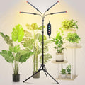 4‑Head Full Spectrum Standing Grow Light for Tall Indoor Plants by GroCruiser