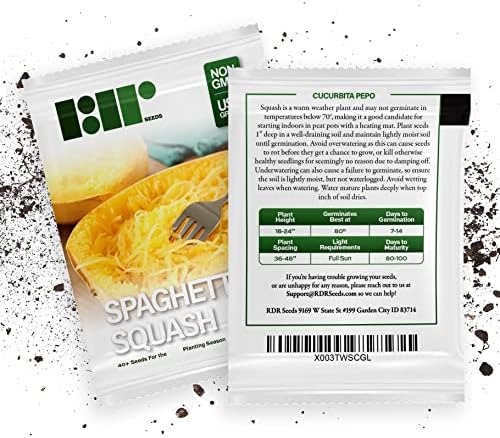 40+ Spaghetti Squash Seeds for Planting - Heirloom Non-GMO USA Grown Winter Squash Seeds by RDR Seeds - Image 5