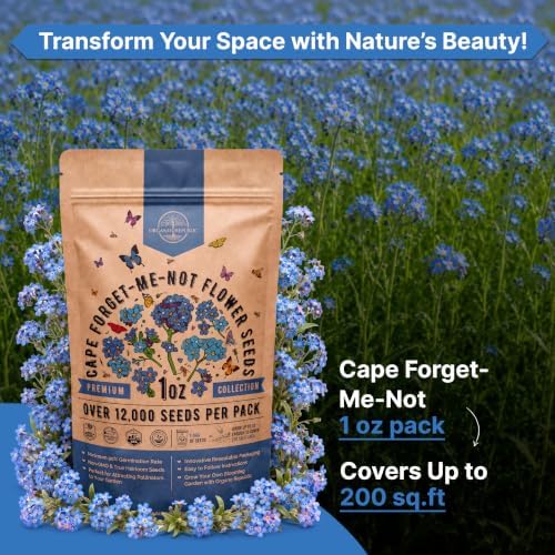 Cape Forget-Me-Not Seeds 1oz - Over 12,000 Non-GMO Heirloom Forget Me Not Seeds for Planting, Annual Flowers in Individual Seed Packet, Planting Home Garden Indoor & Outdoor Gardening - Image 4
