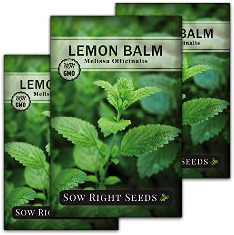 Sow Right Seeds - Lemon Balm Seed for Planting Perennial Medicinal Herb 3pk by SowRightSeeds