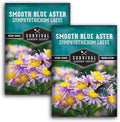 Smooth Blue Aster Seeds for Planting, Symphyotrichum laeve (2 Pack) by SurvivalGardenSeeds