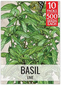 Seed Needs Lime Basil Seeds to Plant an Herb Garden - 10 Packs by SeedNeeds