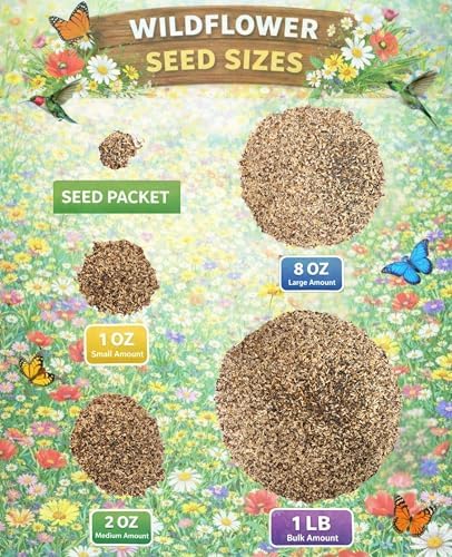 Bee Wildflower Seed Mix – (2oz) - Pollinator Flower Seeds for Bees – Nectar & Pollen Rich Blooms for Honey Bees. Friendly Flower Blend for Outdoor Gardens & Meadows! - Image 4