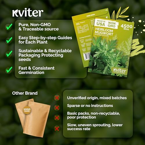 4,500 Mugwort Heirloom Herb Seeds for Planting, Artemisia Vulgaris - Image 5