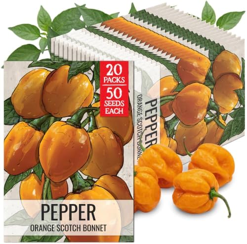 Seed Needs Scotch Bonnet Hot Pepper Seeds to Plant Vegetables - 20 Packs by SeedNeeds