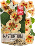 Seed Needs Nasturtium Seeds Peach Melba 350 Flower Seeds Heirloom Bulk Pack by SeedNeeds