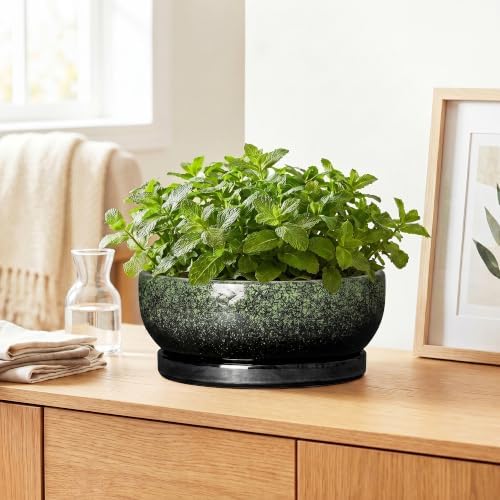 Bonsai Pots Ceramic, 10 Inch Succulent Planter, Speckle Green - Image 6