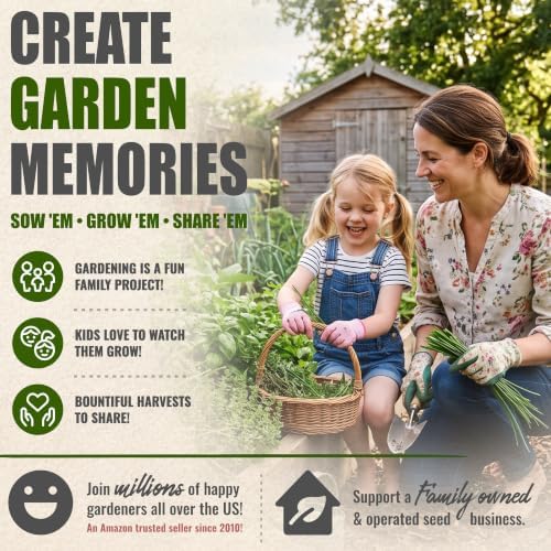 Seed Needs Garlic Chives Seeds to Plant an Herb Garden - 5 Packs - Image 6