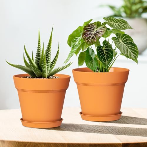 WSMKSZ 5 Inch Plastic Plant Pots with Drainage Holes and Trays – 6 Pack Small Nursery Pots for Indoor & Outdoor House Plants and Flowers, Seedling Starter Planters, Terracotta - Image 6