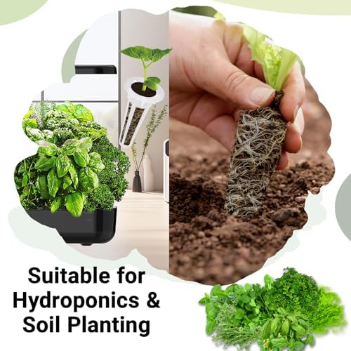 Herb Seed Pods for All Hydroponics Growing Systems, 8 Pods with 600+ Seeds of Cilantro, Thyme, Mint, Genovese Basil, Curly Parsley and Dill - Image 4