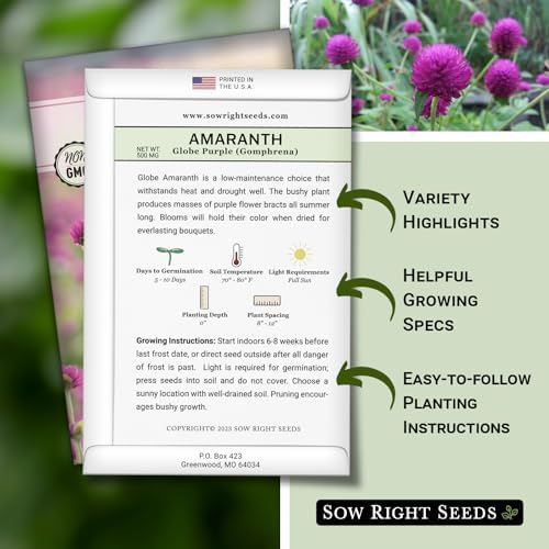 Sow Right Seeds - Purple Globe Amaranth Seed for Planting Gomphrena 2pk - Image 2