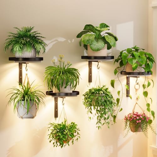 Plant Wall Hanger with Grow Lights Set of 4 for Indoor, Black by iDavosicly