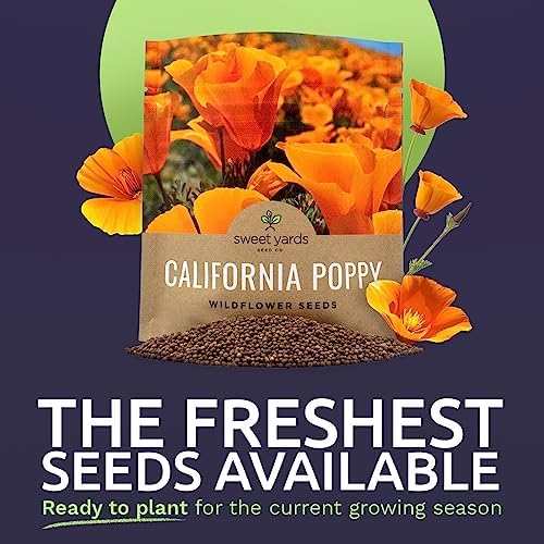 California Orange Poppy Wildflower Seeds - Bulk 1 Ounce Packet - Over 20,000 Native Seeds - California State Flower! - Image 2