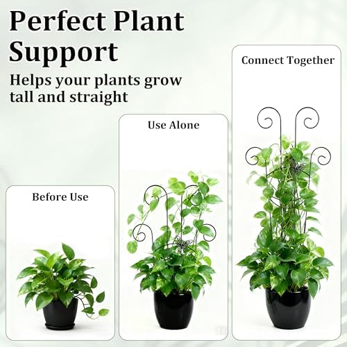 2 Pcs 30'' Monstera Plant Support Stakes, Metal Garden Trellis for Potted Plants Outdoor, Tall Expandable Houseplant Climber Trellis with Butterfly Design for Ivy Hoya Vin (Black) - Image 5