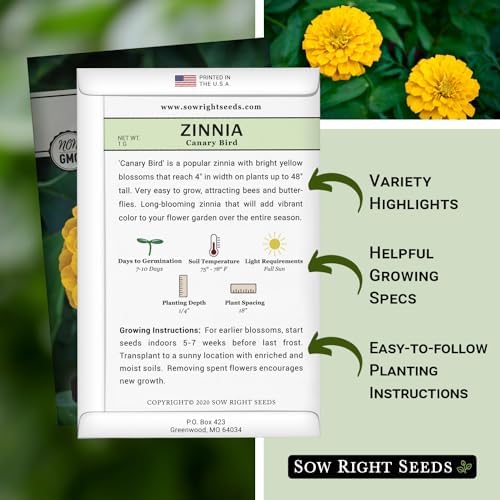 Sow Right Seeds - Canary Bird Zinnia Seed for Planting Flowers Outdoors 2pk - Image 3