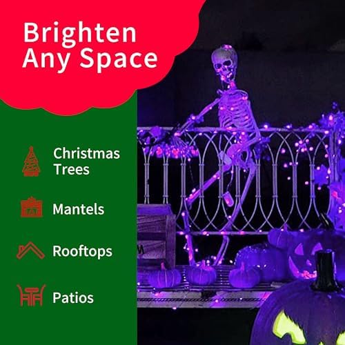 Ultra-Bright Connects End to End Purple Christmas Mini Lights 300L 63.8Ft(2Sets-Each 150L)UL Listed Incandescent Bulb String Light for Indoor Outdoor Halloween Home Garden Party Tree Decor - Image 4