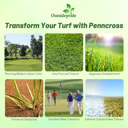 Outsidepride PC2.0 (Penncross) Creeping Bent Grass Seed – 25 lbs. Premium Golf Course Grade, Dense, Wear-Resistant Turf Grass Seeds for Tees, Putting Greens & Fairways, Ideal for High Traffic Areas - Image 2