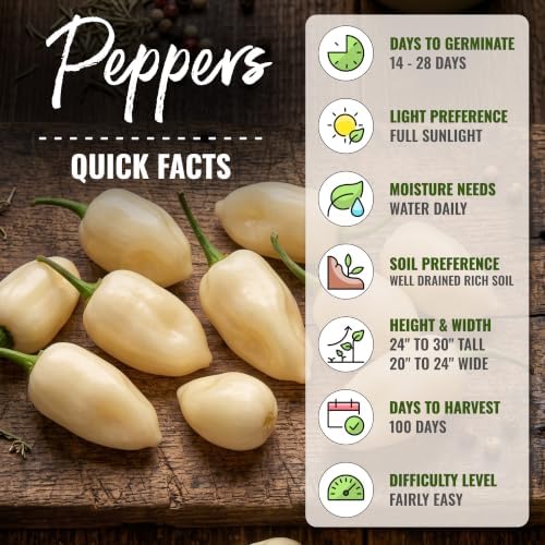 Seed Needs White Habanero Hot Pepper Seeds to Plant Vegetables - 20 Packs - Image 4