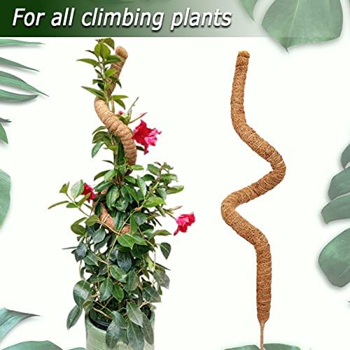 60 Inch Moss Pole for Plants Monstera, Tall Bendable Moss Poles for Climbing Plants Indoor, Large Handmade Plant Pole Sticks, Coco Coir Plant Support Stakes for Potted Plants, Pothos - Image 4