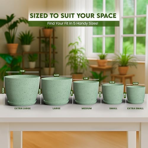 Plant Pots Indoor with Drainage 10 Pack Multi-Size Planters Set Spotty Mint - Image 6