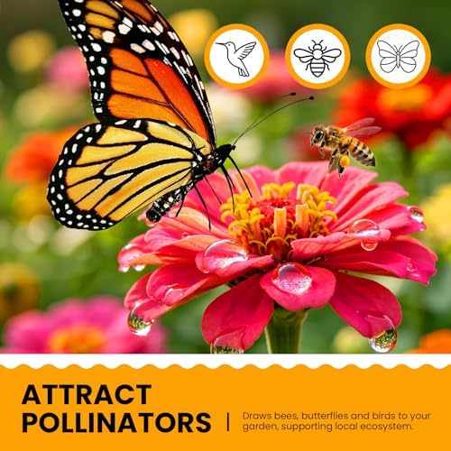 Dwarf Zinnia Seeds for Planting, 5000+ Flowers Seeds, 7 Colors Mix - Image 5