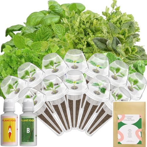 inbloom 12-Pod Gourmet Herb Basil Seed Pod Kit for AeroGarden, Ahopegarden Hydroponic Garden, Basil, Mint, Cilantro, Parsley, Shiso, Chicory, Liquorice, 400+ Seeds by inbloomgarden