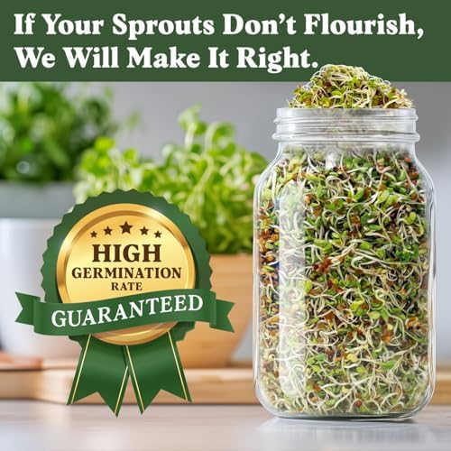 Seedboy Organic Non-GMO Sprouting Seeds (Longevity Blend) - Image 4