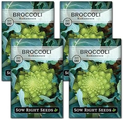 Sow Right Seeds - Romanesco Broccoli Seed for Planting Vegetable Garden 4pk by SowRightSeeds