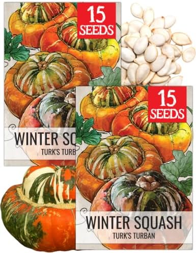 Seed Needs Turk's Turban Squash Seeds to Plant Vegetables - 2 Packs by SeedNeeds