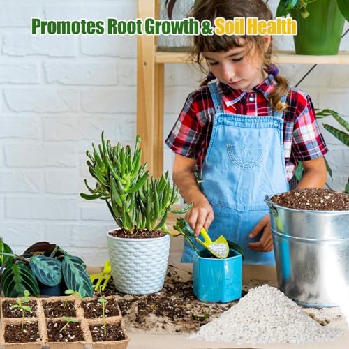 Horticultural Perlite for Plants 2qt, All Natural Horticultural Soil Additive Conditioner Mix, Improve Ventilation and Drainage, Enhance Soil Health and Root Growth - Image 4