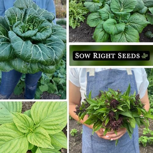 Sow Right Seeds - Asian Greens Seed Collection for Planting Home Garden - Image 4