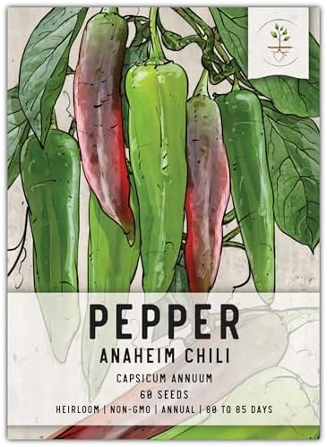 Seed Needs Anaheim Hot Pepper Seeds to Plant Vegetables - 1 Pack by SeedNeeds