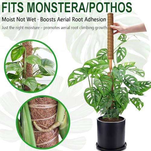 Soupiar 4 Pack 22 Inch Stackable Moss Pole - Thick & Sturdy Natural Coir Totem Plant Support & Garden Stakes for Monstera & Pothos, Indoor Climbing Vining Houseplants, 70" H Max - Image 6