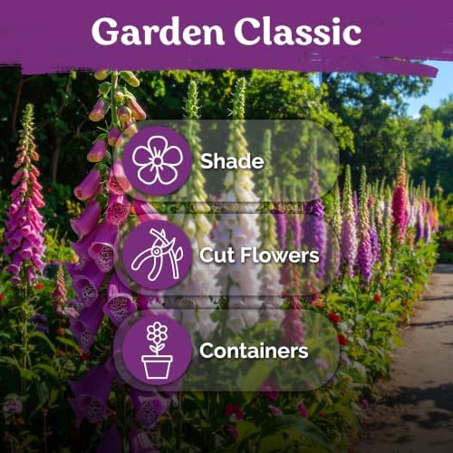 5,500 Foxglove Excelsior Mix Heirloom Flower Seeds, Digitalis Purpurea - Image 6