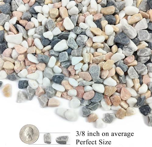 FANTIAN 2 lbs Succulent and Cactus Pebbles Rocks, 3/8 Inch Aquarium Gravel - Image 2