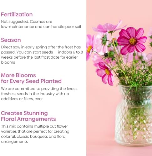 Groundio Cosmos Seeds Wildflower Mix 1 Oz, Over 3,000+, 4 Varieties Flowers Seeds for Planting (Radiance, Purity, Pinkie, Picotee), Open Pollinated Bulk - Image 3