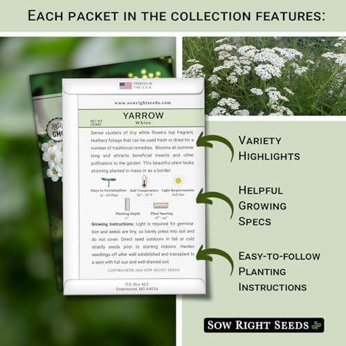 Sow Right Seeds - Yarrow Seed Collection for Planting Perennial Medicinal - Image 2