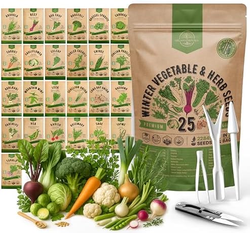 Organo Republic 25 Winter Vegetable & Herb Garden Seeds Variety Pack for Outdoors & Indoor Home Gardening 22,840+ Non-GMO Heirloom Seeds Broccoli Beet Carrot Cabbage Radish Pea Mint Thyme Parsley by OrganoRepublic
