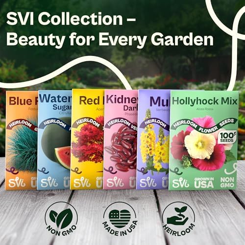 SVI 5500 Purpletop Vervain Seeds (Verbena Bonariensis) - Tall Verbena, Purple Blooms, Pollinator Magnet, Perrenial Seed in Seed Packets - Flower Seeds for Home Garden, Borders, Outdoor Flower Beds - Image 7