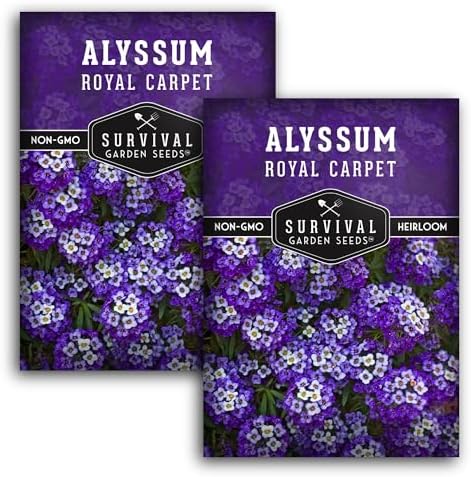 Purple Alyssum Seeds for Planting - Survival Garden Seeds (2 Pack) by SurvivalGardenSeeds
