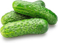 50 Boston Pickling Cucumber Seeds for Planting - Heirloom, Non-GMO, USA Grown - Crisp 3-5" Fruits - RDR Seeds by RDRSeeds