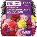 2,600 Chabaud Mix Clove Carnation Flower Seeds, Dianthus Caryophyllus by KVITER