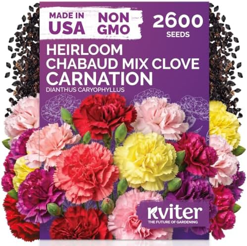 2,600 Chabaud Mix Clove Carnation Flower Seeds, Dianthus Caryophyllus by KVITER
