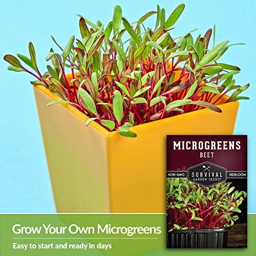 Beet Microgreen Seeds for Sprouting - Survival Garden Seeds (1 Pack) - Image 4