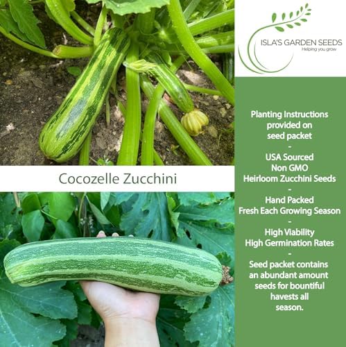 Cocozelle Zucchini Summer Squash Seeds – 50+ Heirloom Non-GMO Seeds by Isla’s Garden Seeds, High-Yield Variety, Perfect for Home Gardens, Easy to Grow, Delicious & Tender Harvest,Great Gardening Gift - Image 2