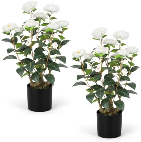 Romantic Season 2FT White Artificial Camellia Tree 2Pack, Faux Camellia Plant Fake Potted Camellia Flower Tree Plastic Camellia Tree for Modern Home Office Living Room Floor Décor by RomanticSeason